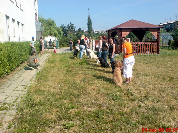 Canisterapeutické zkoušky Sirius