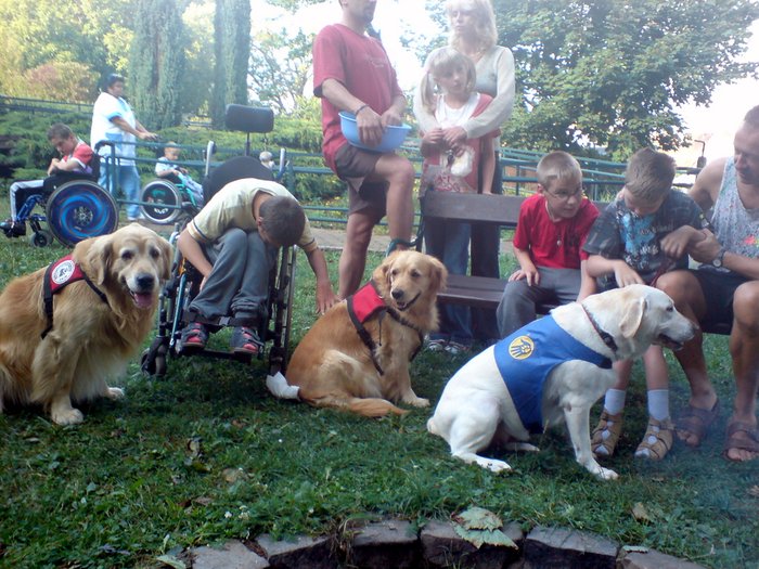 ÚSP Kociánka canis na zahradě