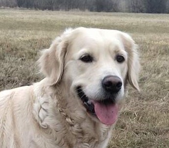 Kathy z Královských teras