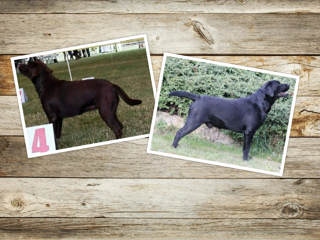 Vrh H Gira a Gremlin