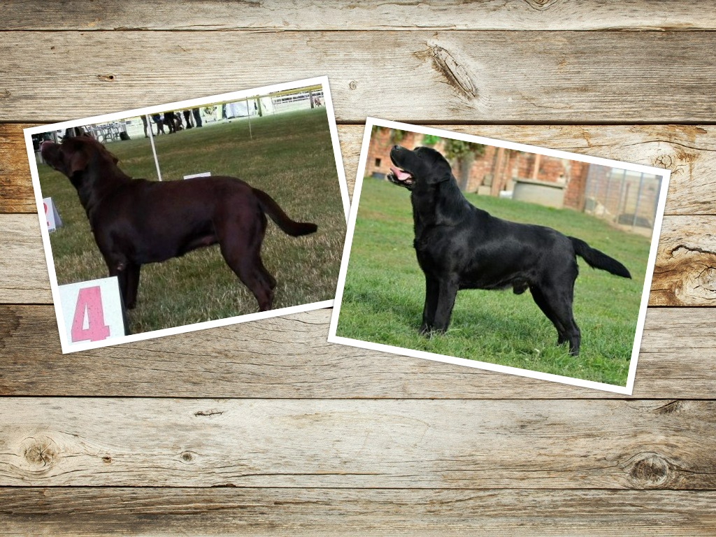 Vrh G Amel a Balrion