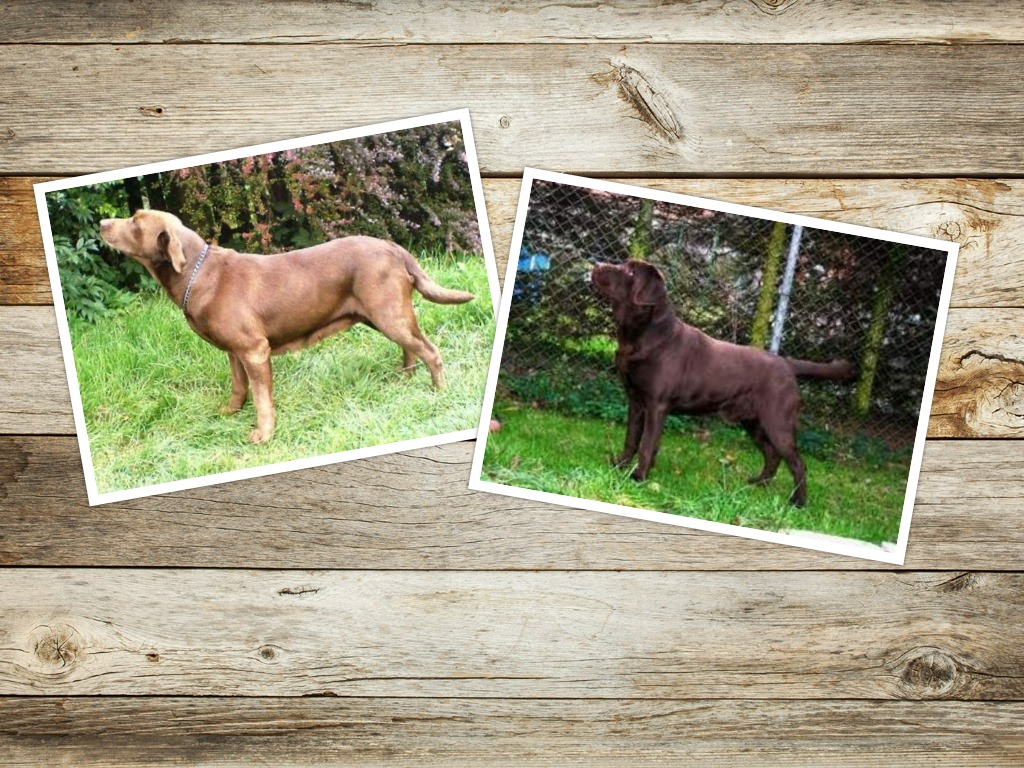 Vrh A Bessy a Capuccino