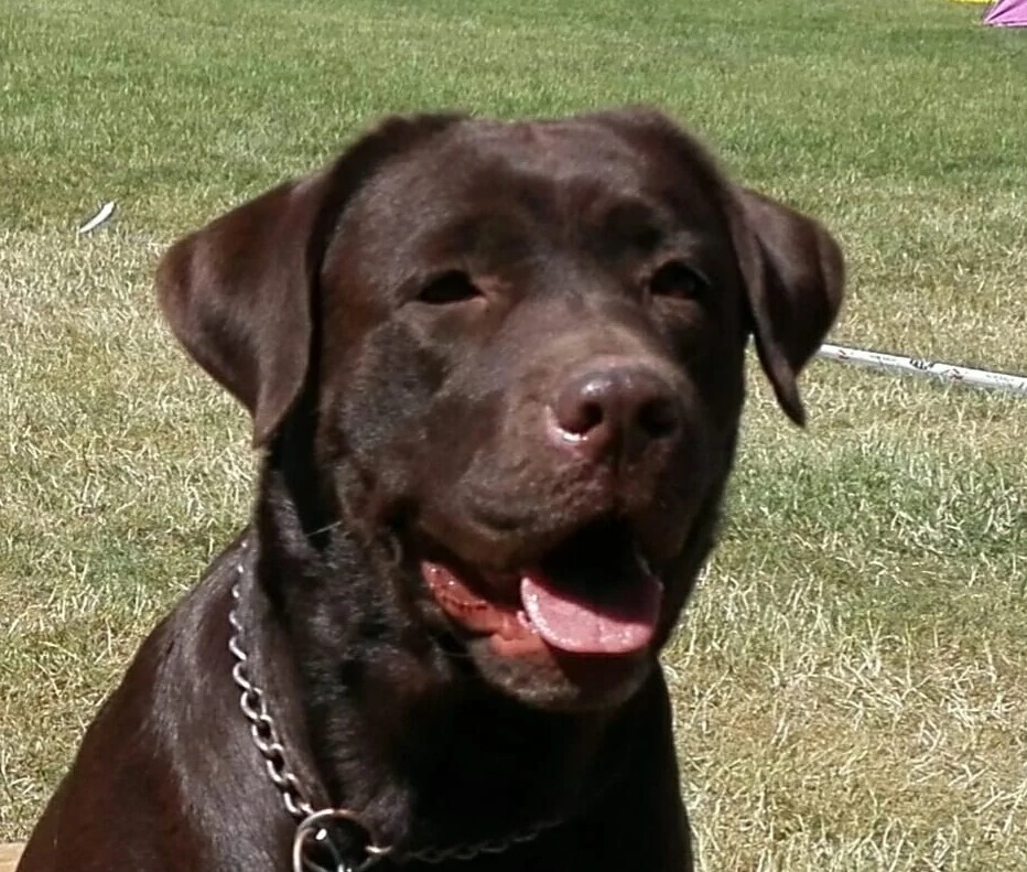 Gira z Královských teras