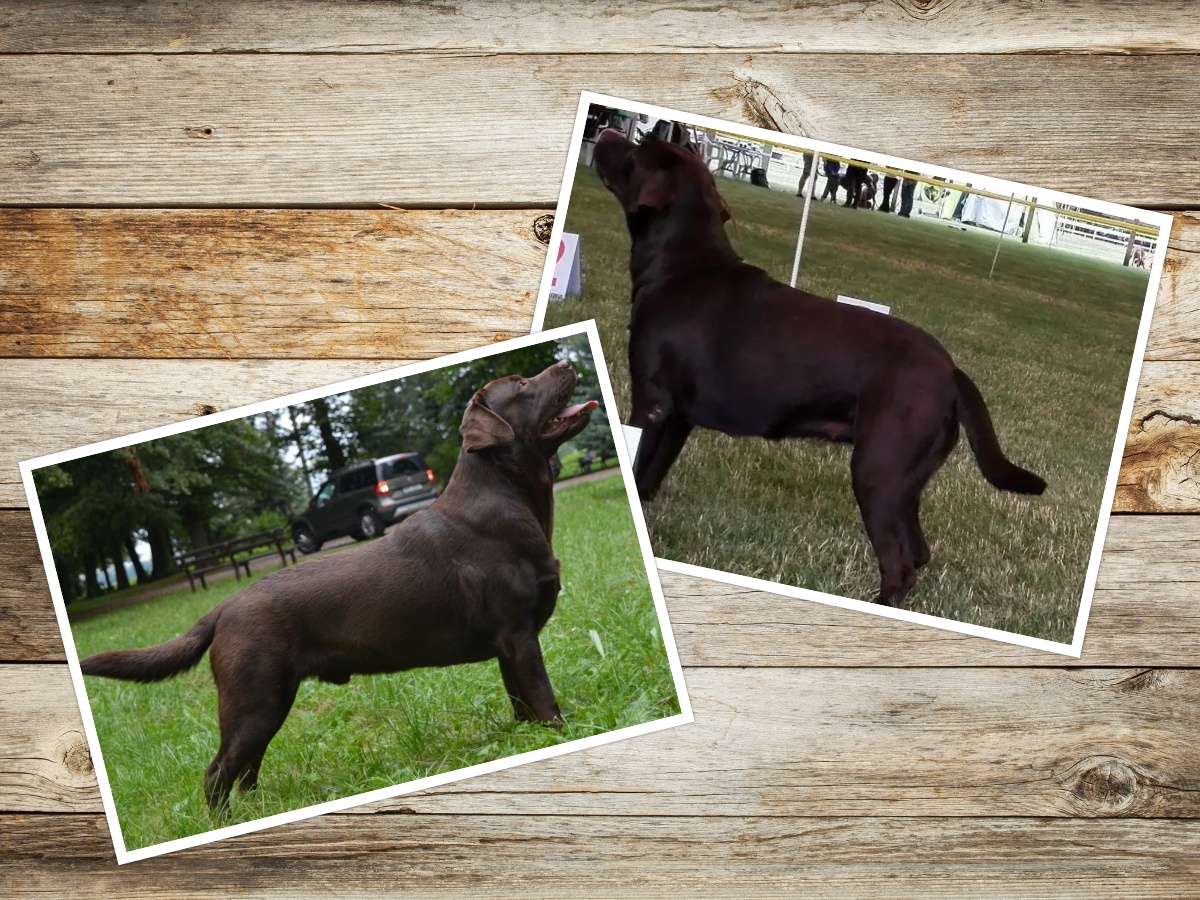 Vrh J Gira a Matteus 